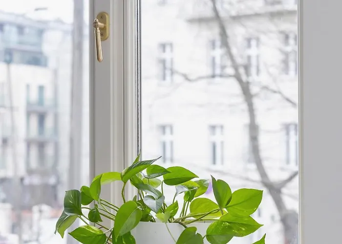 Jewish Quarter- Augustianska 1- Ac Krakow