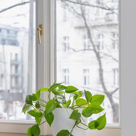 Jewish Quarter- Augustianska 1- Ac קרקוב